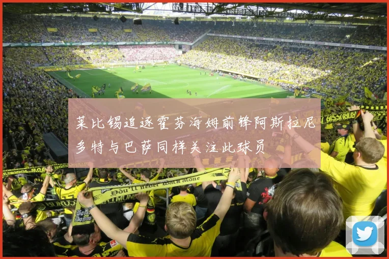 莱比锡追逐霍芬海姆前锋阿斯拉尼多特与巴萨同样关注此球员