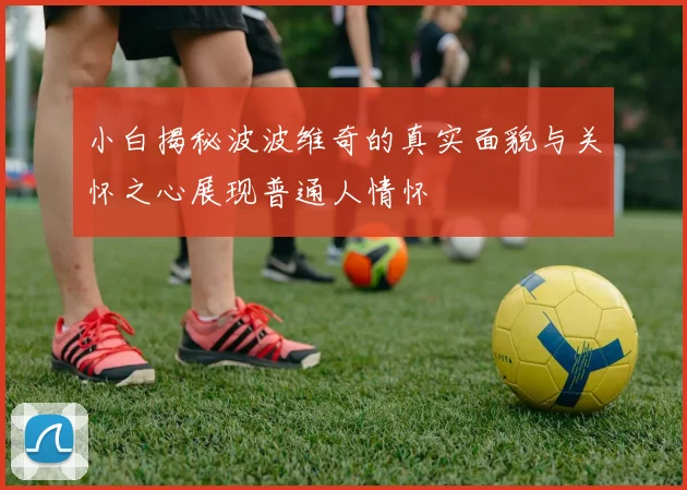小白揭秘波波维奇的真实面貌与关怀之心展现普通人情怀