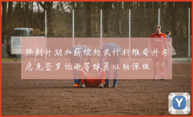 热刺计划加薪续约武什科维奇并考虑免签罗伯逊等球员以助保级