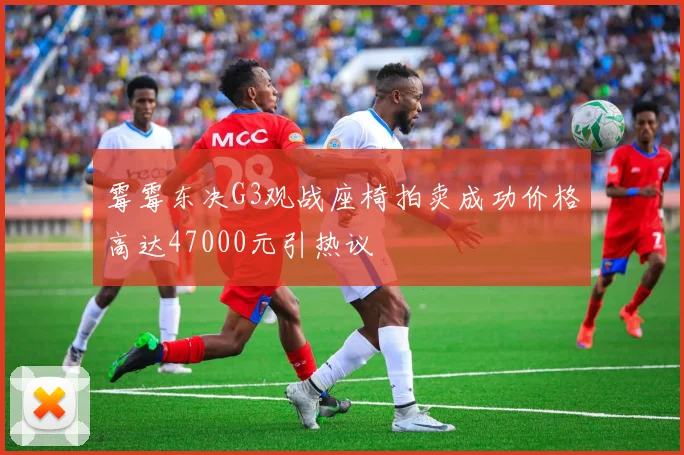 霉霉东决G3观战座椅拍卖成功价格高达47000元引热议